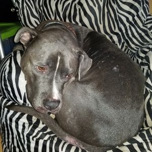 Meet your Posher, Robin